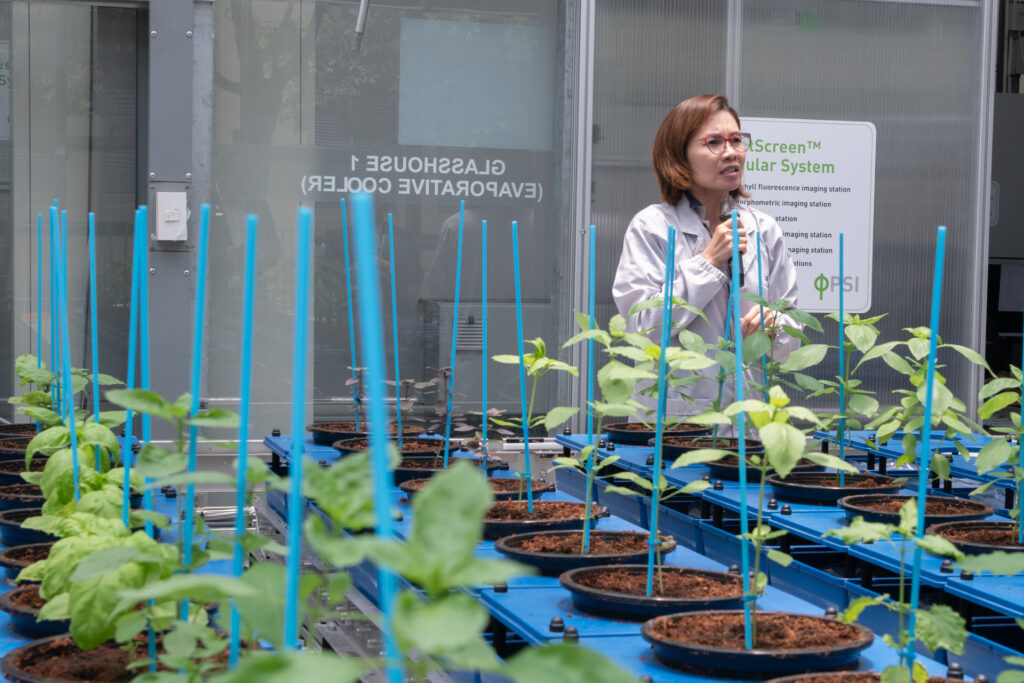 ภาพ: นักวิจัย สวทช. บรรยายการดำเนินงานด้านพันธุศาสตร์และสรีรวิทยาพืช (Plant Phenomics) ภายในระบบโรงเรือนทดลอง