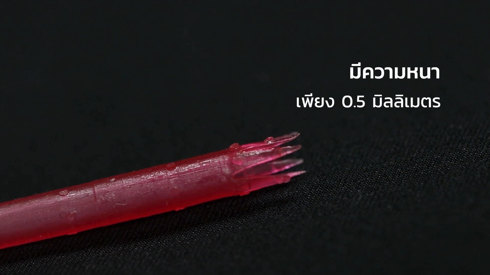 โมเดลท่อนำไข่จำลอง