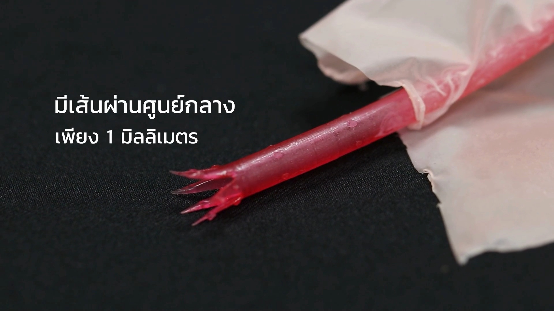 โมเดลท่อนำไข่จำลอง