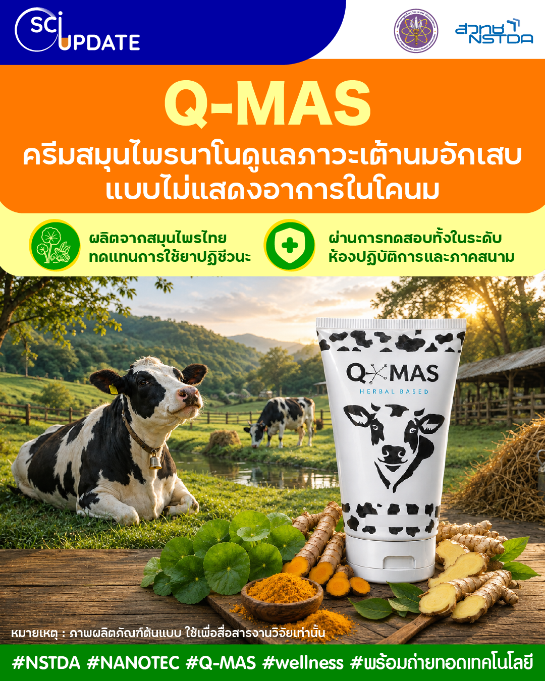 "Q-MAS" ครีมสมุนไพรนาโนสำหรับดูแลภาวะเต้านมอักเสบแบบไม่แสดงอาการในโคนม