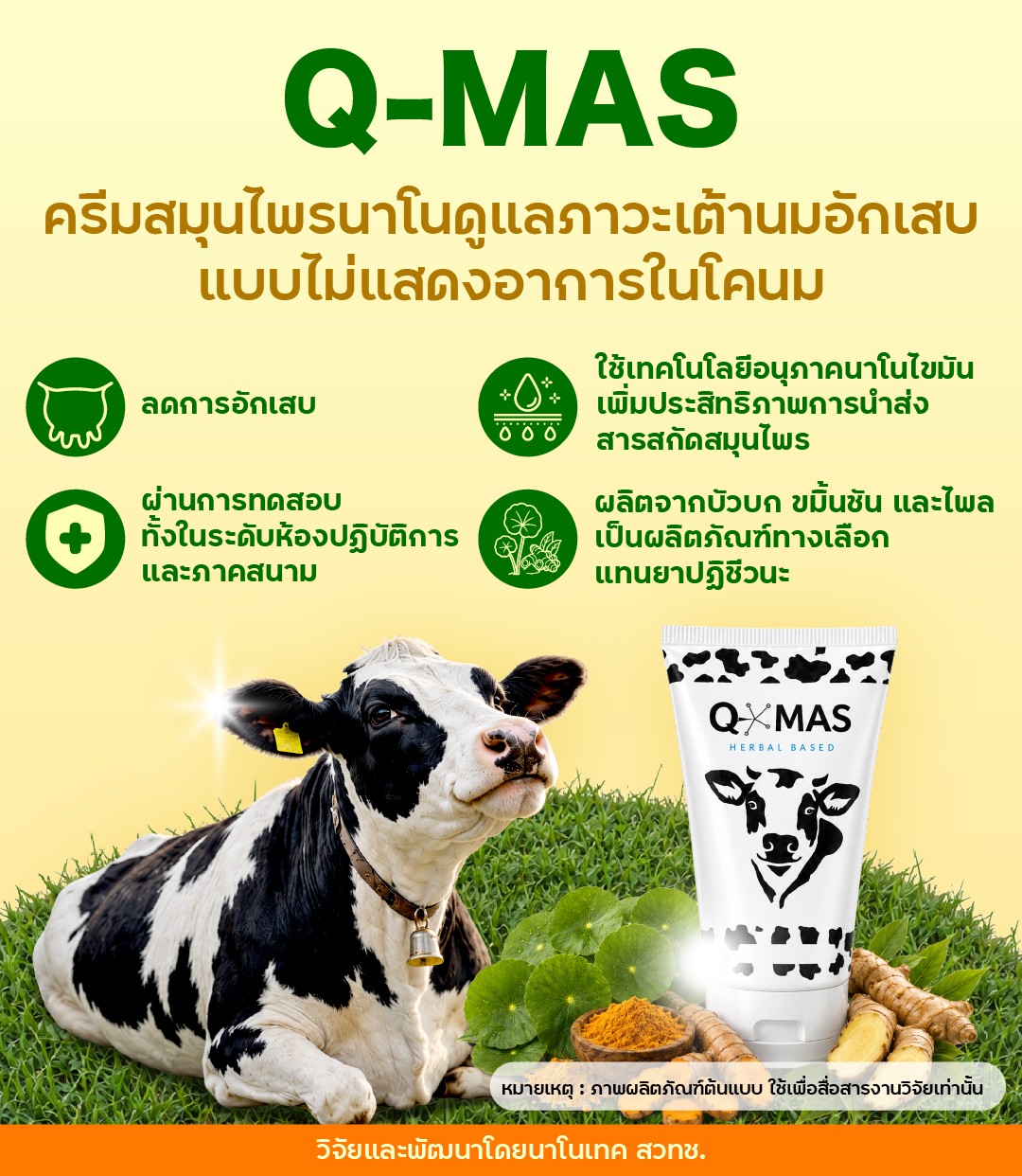 อินโฟกราฟิกสรุปจุดเด่นของ Q-MAS ครีมสมุนไพรนาโนสำหรับดูแลภาวะเต้านมอักเสบแบบไม่แสดงอาการในโคนม ช่วยลดการอักเสบ ใช้เทคโนโลยีอนุภาคนาโนไขมัน เพิ่มประสิทธิภาพการนำส่งสารสกัดสมุนไพร และผ่านการทดสอบในห้องปฏิบัติการและภาคสนาม