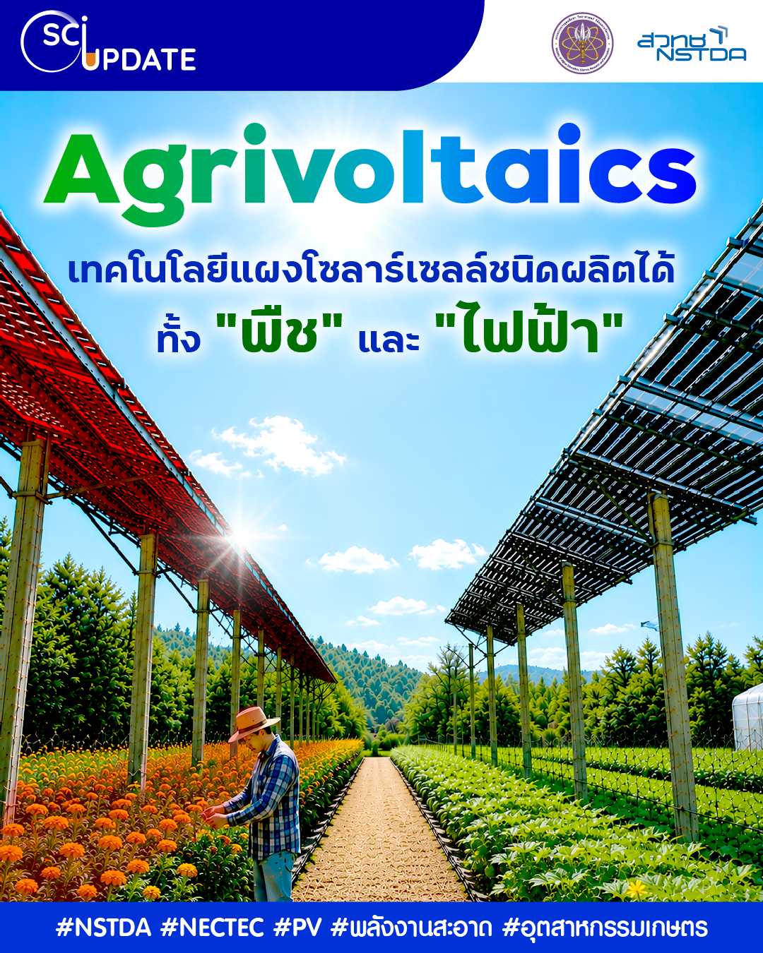 “Agrivoltaics” เทคโนโลยีแผงโซลาร์เซลล์ที่ผลิตได้ทั้ง “พืช” และ “ไฟฟ้า”