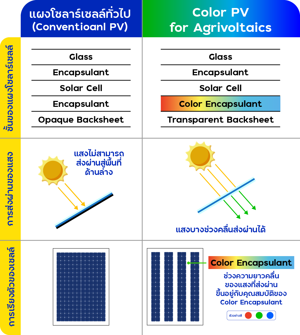 อินโฟกราฟิกเปรียบเทียบแผงโซลาร์เซลล์ทั่วไปกับ Color PV for Agrivoltaics ที่ช่วยให้แสงบางช่วงคลื่นส่องผ่านสำหรับการเพาะปลูกพืช