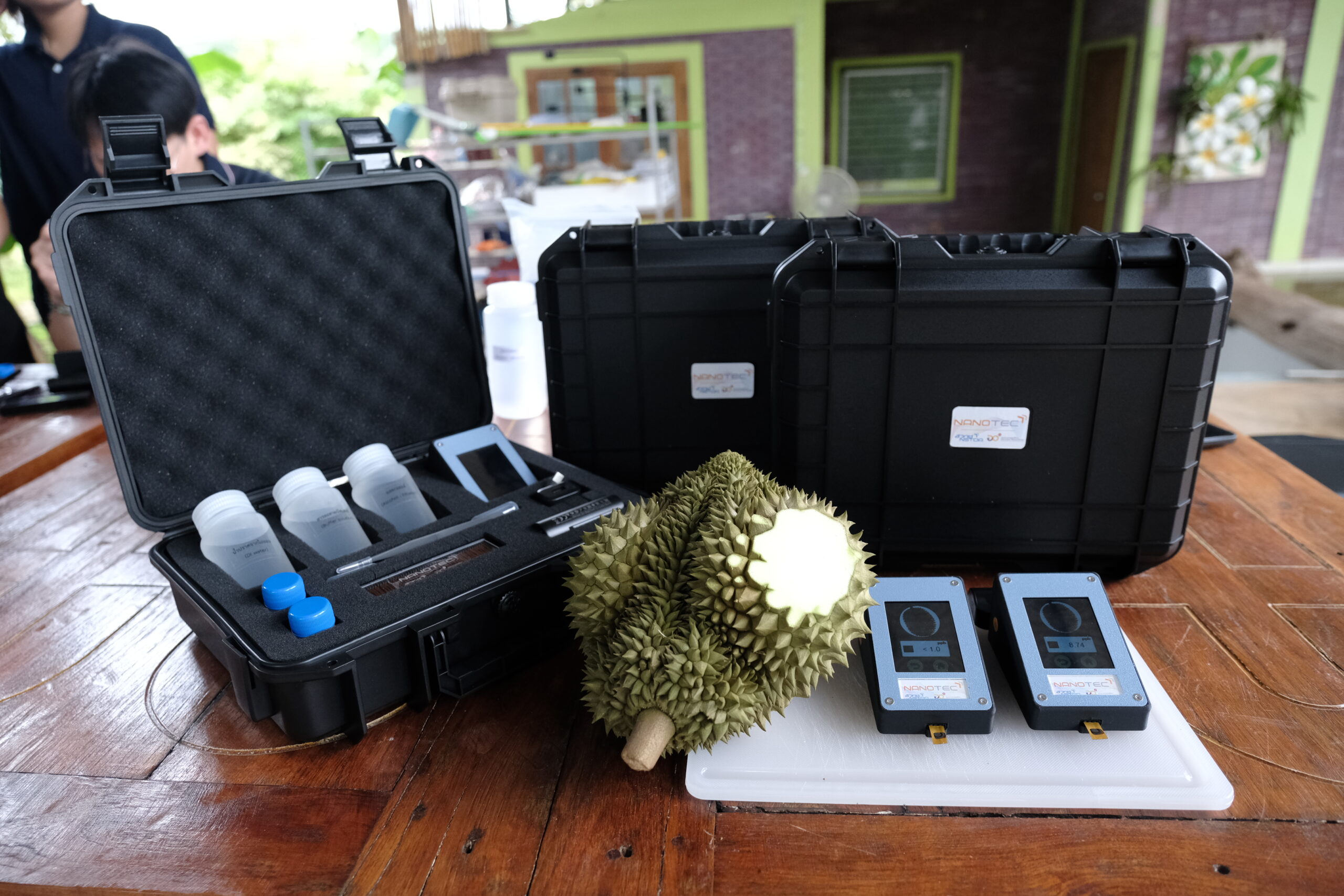 ภาพงานวิจัย N-Sense ใช้กับทุเรียน ราชาผลไม้