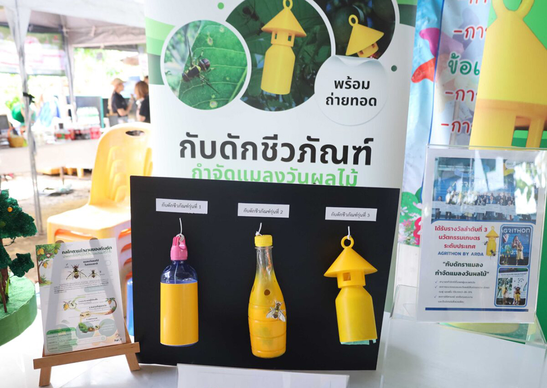 ตัวอย่างต้นแบบกับดักชีวภัณฑ์กำจัดแมลงวันผลไม้หลายรูปแบบที่พัฒนาโดย ไบโอเทค สวทช. สำหรับดักและปล่อยแมลงวันที่รับเชื้อราออกสู่แปลงปลูก