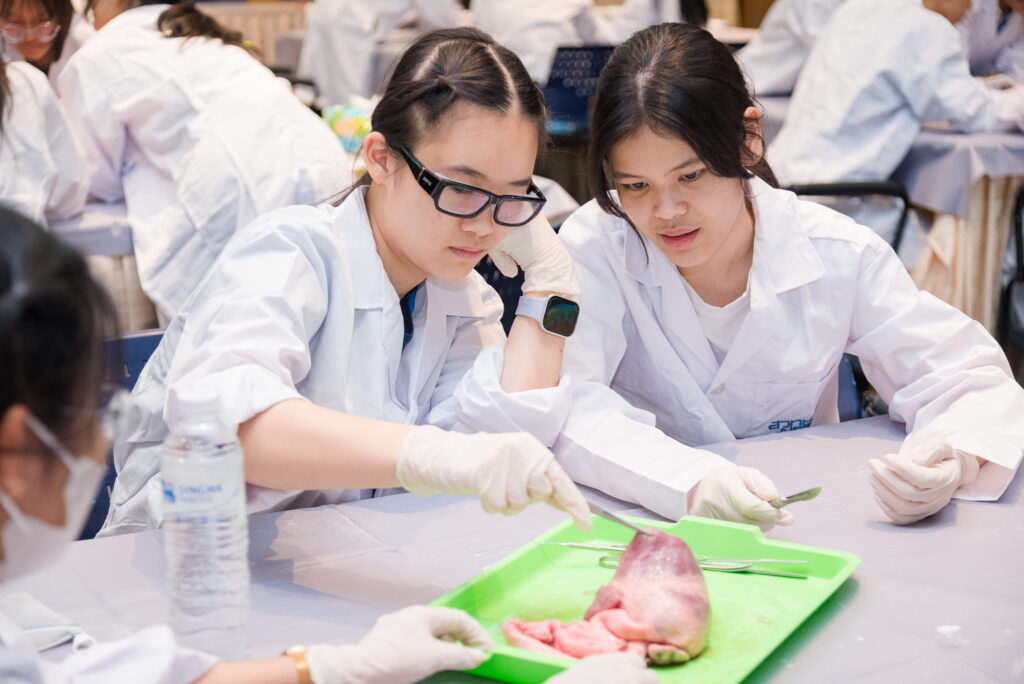เยาวชนร่วมกันสังเกตและศึกษาโครงสร้างหัวใจอย่างใกล้ชิดในกิจกรรม Heart Dissection