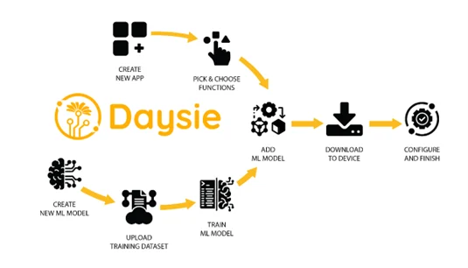 daysie