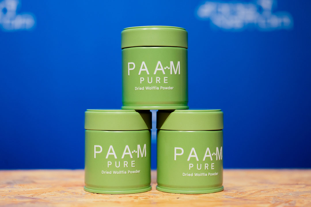 ผลิตภัณฑ์ผำแห้งชนิดผง PAAM PURE บรรจุในกระป๋องสีเขียว