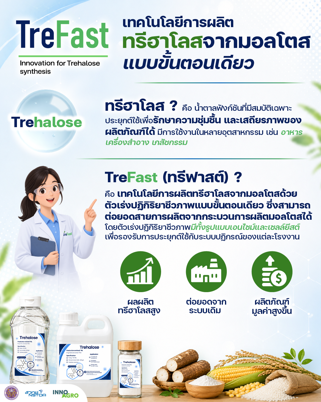อินโฟกราฟิกสรุป TreFast เทคโนโลยีผลิตทรีฮาโลสจากมอลโตสแบบขั้นตอนเดียว ช่วยต่อยอดสายการผลิตเดิม เพิ่มผลผลิต และพัฒนาสู่ผลิตภัณฑ์มูลค่าสูง