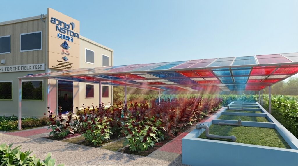 โรงเรือนทดสอบ Colored PV อาคารทดสอบภาคสนาม สวทช. ร่วมกับ Kaneka หลังคาโซลาร์เซลล์หลากสีแปลงเกษตรและบ่อเลี้ยงผำ