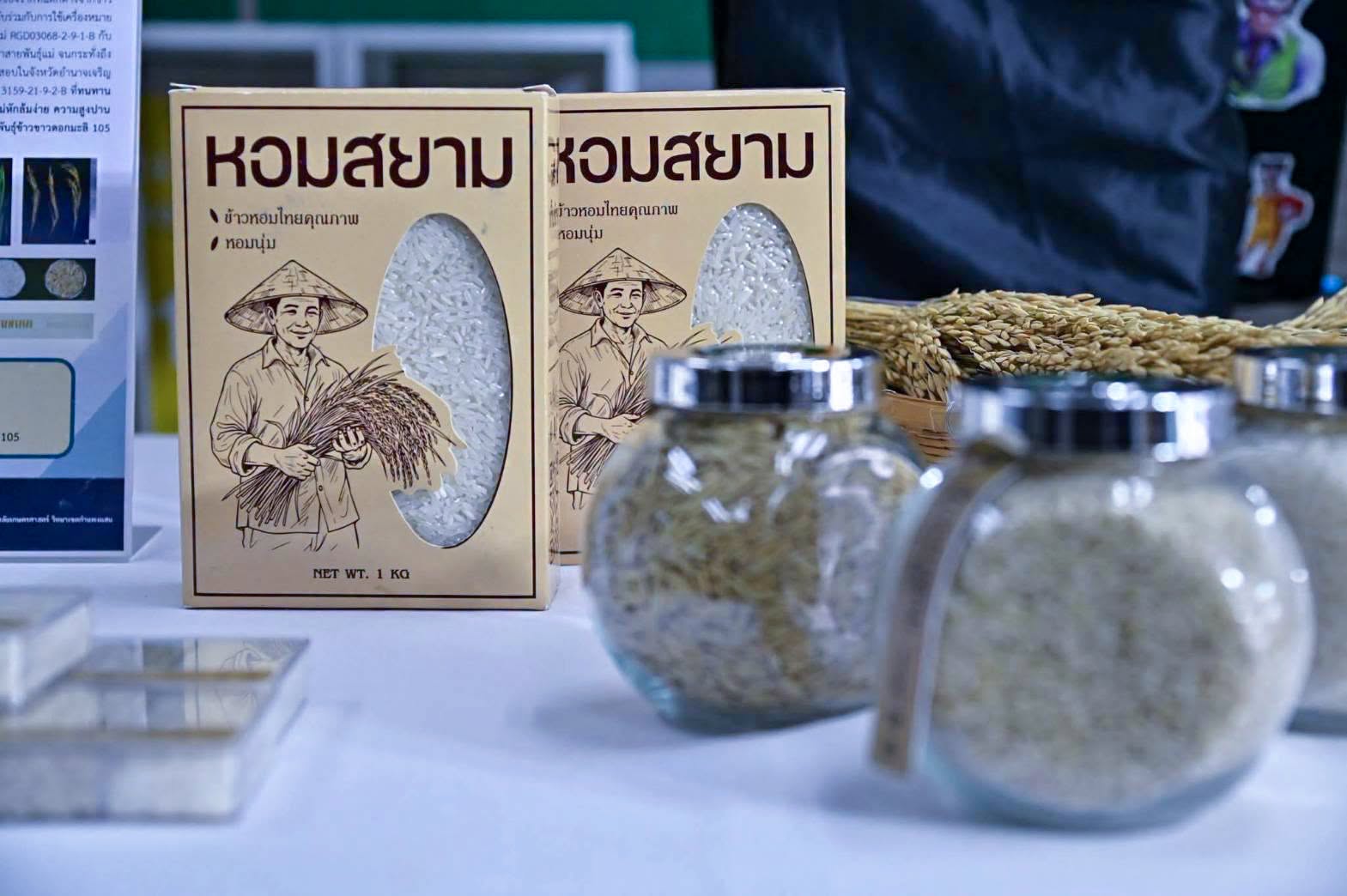 ภาพนิทรรศการข้าวหอมสยาม และข้าวสุวรรณภูมิ 1