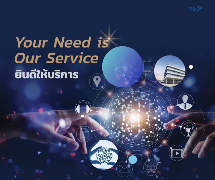 Your Need is Our Service