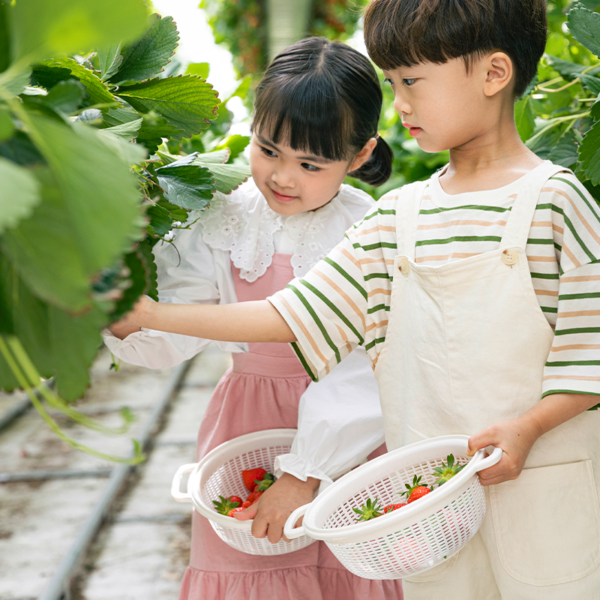 youth-activities_0002_asian-boy-and-girl-in-strawberry-farm-2021-09-03-12-55-37-utc
