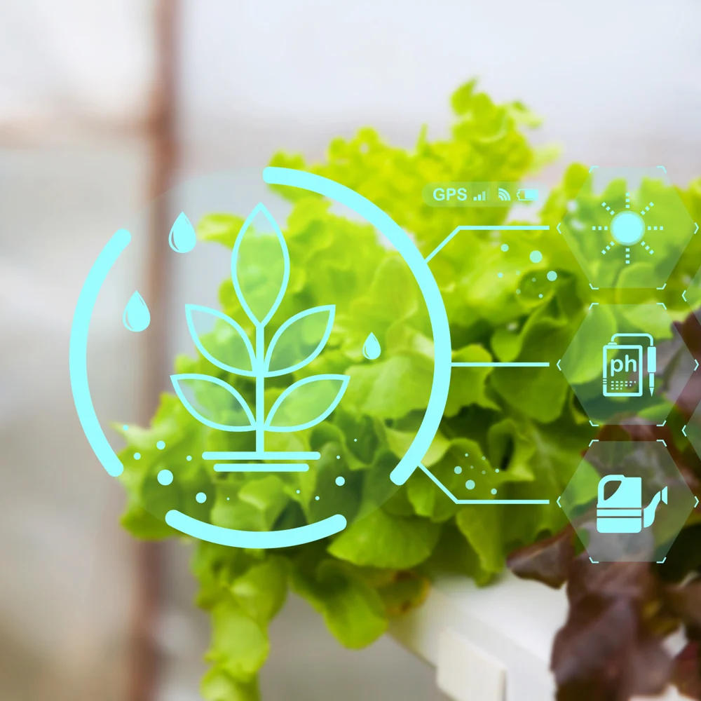 NAC2026-Market-SQ-102