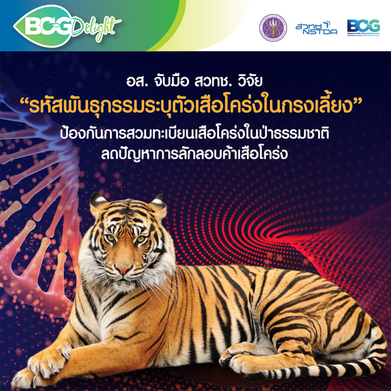 tiger-dna-fingerprint-01