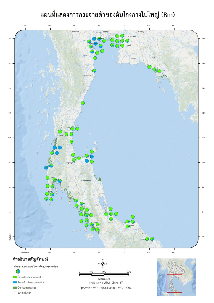 RM-map