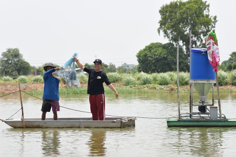 นาโนวัคซีนแบบแช่ แก้โรคระบาดและสร้างภูมิคุ้มกันให้ปลา