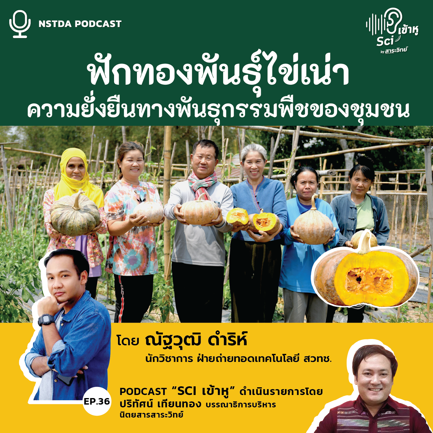 Podcast รายการ Sci เข้าหู EP36: ฟักทองพันธุ์ไข่เน่า ความยั่งยืนทางพันธุกรรมพืชของชุมชน