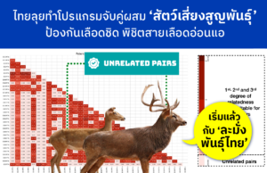 NBT พัฒนาโปรแกรม “วิเคราะห์เลือกคู่ผสมสัตว์” ลดเสี่ยงสูญพันธุ์ นำร่องอนุรักษ์ “ละมั่งพันธุ์ไทย”