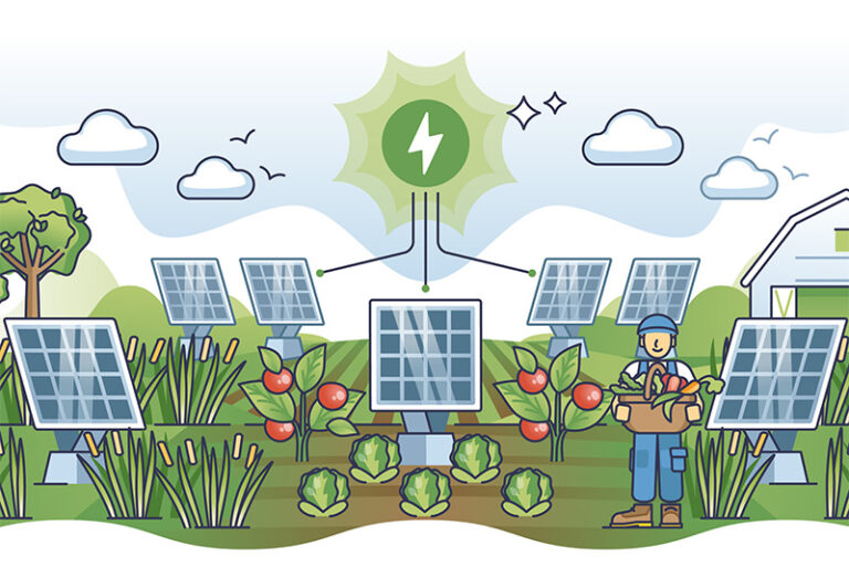 “Agrivoltaic” นวัตกรรมการทำเกษตรร่วมกับการผลิตไฟฟ้าจากพลังงานแสงอาทิตย์