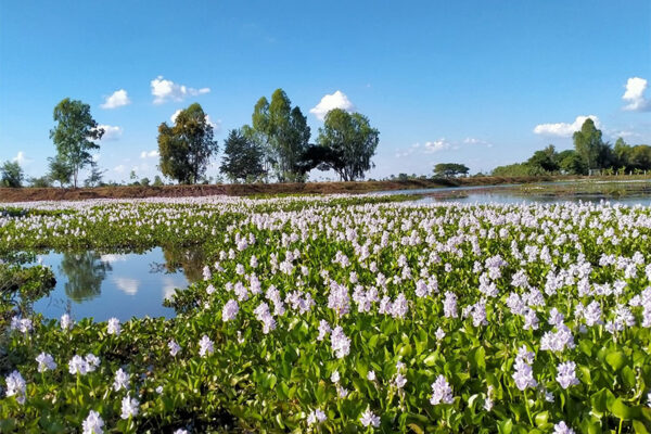 บ่อพันขัน กับการท่องเที่ยวบนฐานภูมิปัญญาและวิทยาศาสตร์ ตอนที่ 2