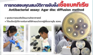 การฝึกอบรมหลักสูตรเฉพาะทางด้านจุลชีววิทยาสำหรับเยาวชนไทย ประจำปี 2566