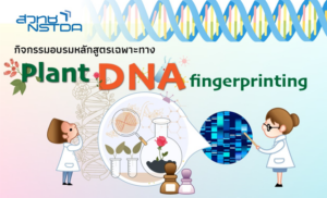 เปิดหลักสูตรเฉพาะทางด้านพันธุศาสตร์โมเลกุลพืชสำหรับเยาวชนไทย ประจำปี 2566