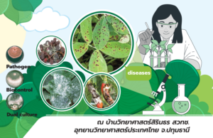 เปิดอบรมหลักสูตรเฉพาะทางด้านเทคโนโลยีชีวภาพสำหรับเยาวชนไทย ประจำปี 2566 หัวข้อ “จุลินทรีย์มหัศจรรย์คุมโรคพืช”