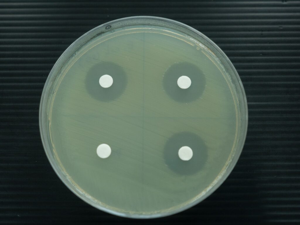clear zone, การทดสอบฤทธิ์ยับยั้งเชื้อแบคทีเรียของสารต้านจุลชีพ, Antimicrobial Susceptibility Testing