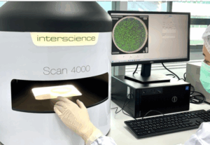 microbiological examination, ตรวจนับจุลินทรีย์, ตรวจนับเชื้อแบคทีเรีย